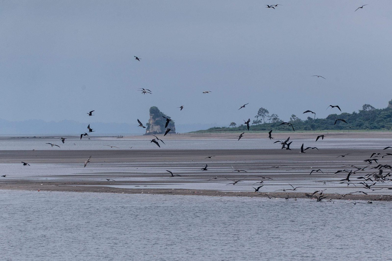 PAV6548-Editar-2048x1363