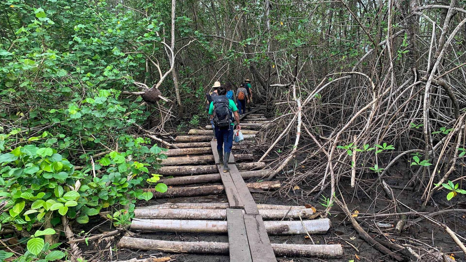 TUMACO-QUE-HAY-PARA-HACER-TURISMO-15