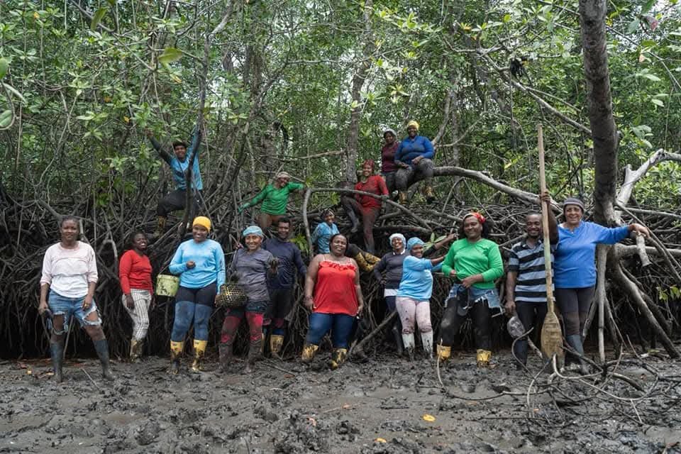 WhatsApp Image 2026-01-27 at 16.36.20