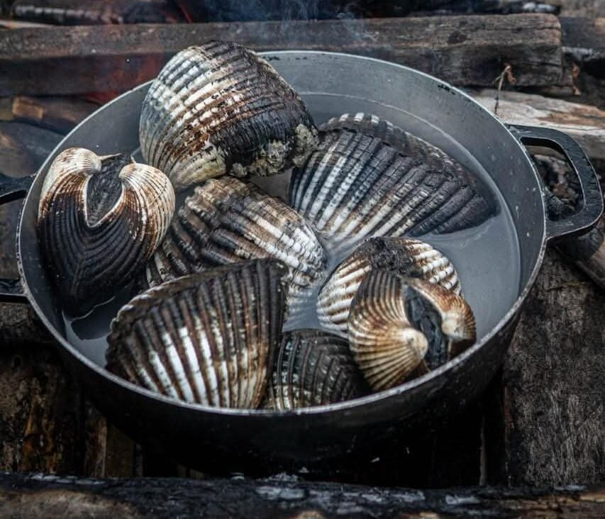 WhatsApp Image 2026-01-27 at 16.36.23